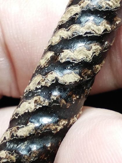 ตะกรุดเก่าลงรักถักเชือกไม่ทราบคณาจารย์ครับ รูปที่ 11