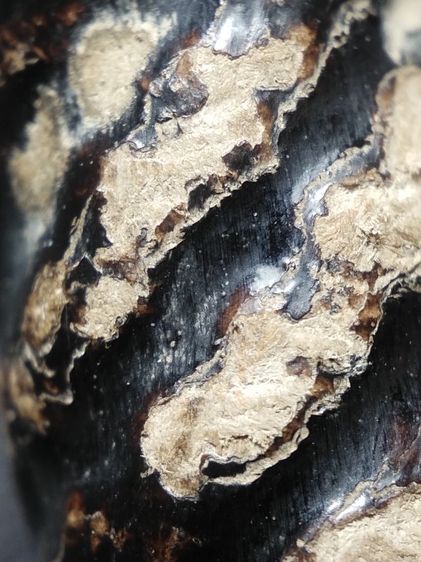 ตะกรุดเก่าลงรักถักเชือกไม่ทราบคณาจารย์ครับ รูปที่ 18