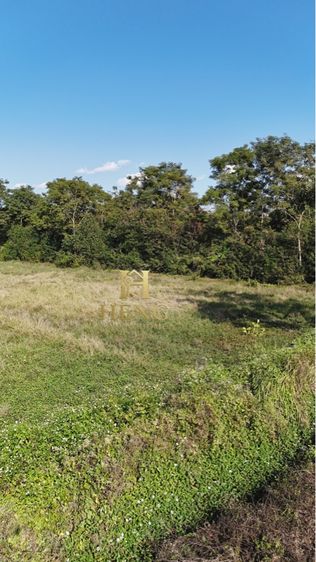 ที่ดินเปล่าเกือบ 10 ไร่ แปลงสวย รูปที่ 4