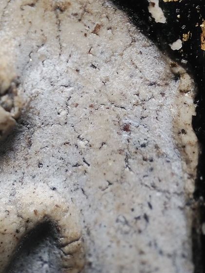 พระสมเด็จครับ รูปที่ 5