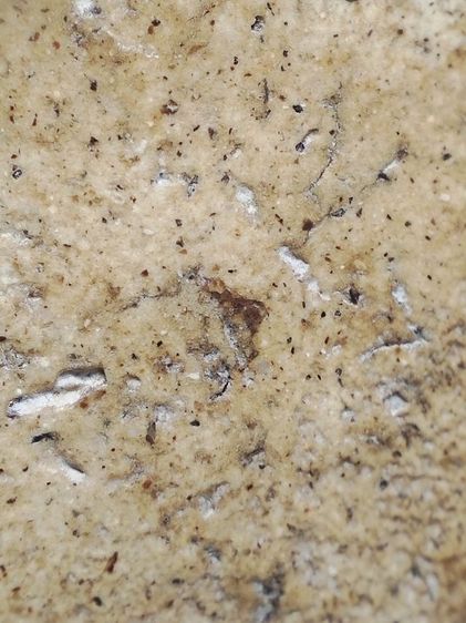 พระสมเด็จครับ รูปที่ 18