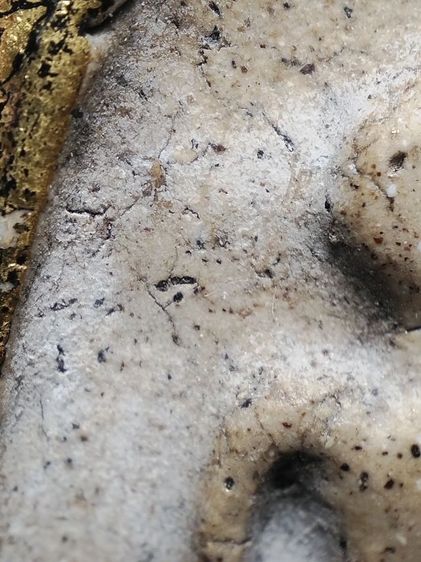 พระสมเด็จครับ รูปที่ 6