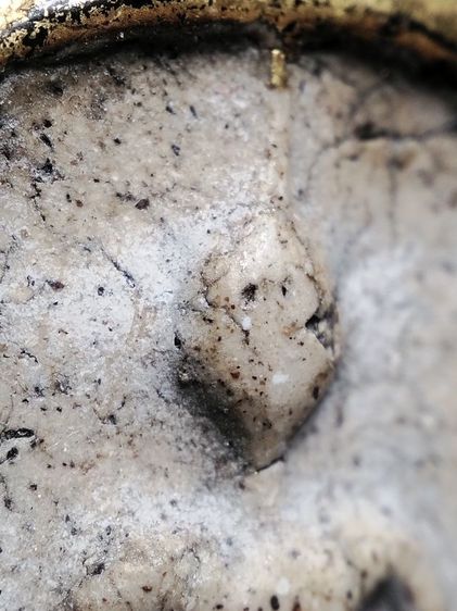 พระสมเด็จครับ รูปที่ 16