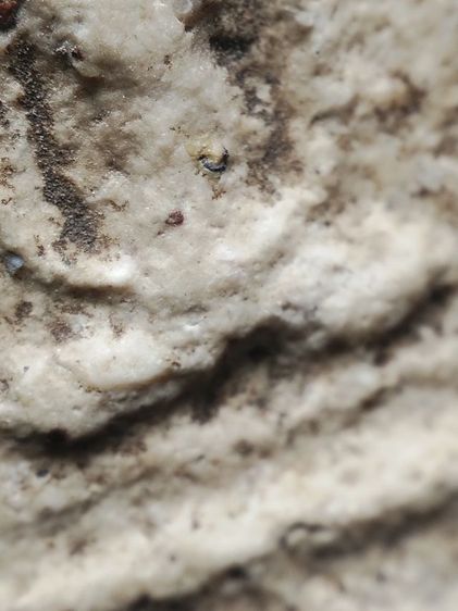 พระสมเด็จครับ รูปที่ 6