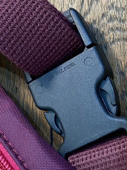 Long champ  รูปที่ 7