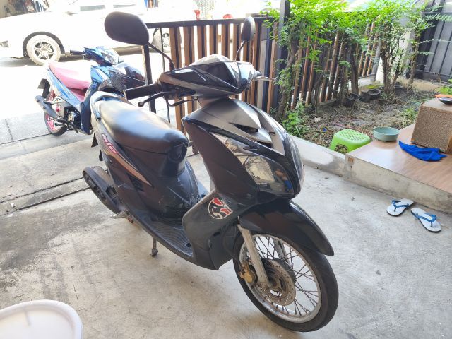 มีโอ 2 ตาแท้ รูปที่ 5