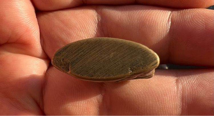 งั่งตาแดง หน้าลิง ฐานตัน รูปที่ 4