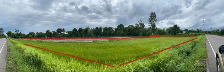 ที่ดิน รูปที่ 3