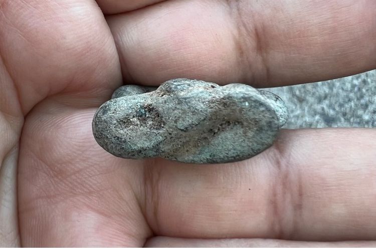 งั่งหน้าช้าง ขุดพบใต้ดิน หายาก รูปที่ 4