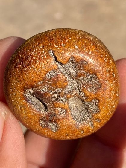 เครื่องราง รูปที่ 6