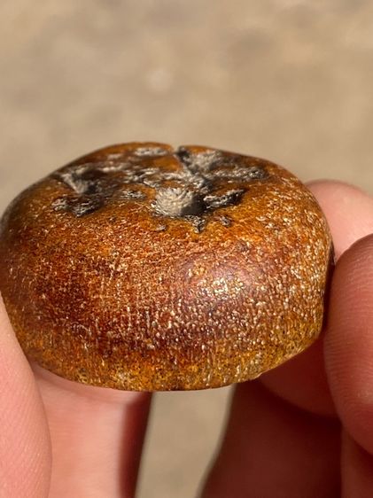 เครื่องราง รูปที่ 11