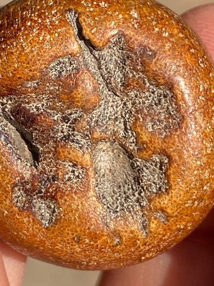 เครื่องราง รูปที่ 10