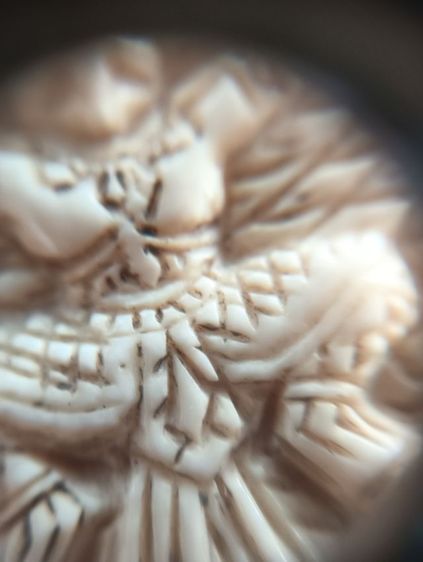 กลมเหลืองเก่า 1 องค์ รูปที่ 10