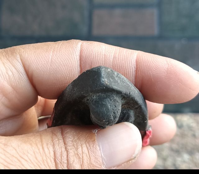 พระเก่าด้านหลังปิดทอง 1 องค์ รูปที่ 11