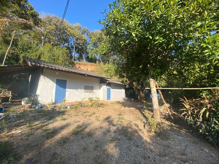 ด่วน ราคาสุดท้าย 500,000 บาทเท่านั้น รูปที่ 3