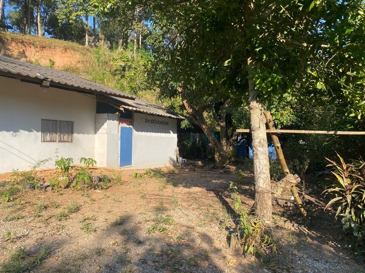 ด่วน ราคาสุดท้าย 500,000 บาทเท่านั้น รูปที่ 2