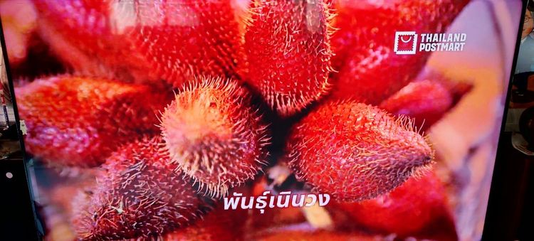 ขายSmart TV. 55นิ้ว LG.สภาพดีภาพเริ่มกระตุกนิดหน่อยอาจต้องเปลี่ยนจอภาพอุปกรณ์อย่างอื่นครบ รูปที่ 6