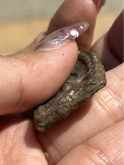 พระไม่ทราบที่ รูปที่ 9