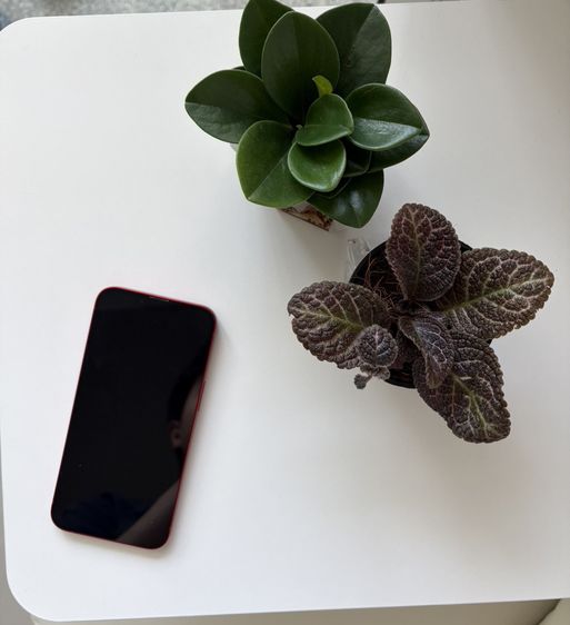 iPhone 13 256 GB (PRODUCT)RED สภาพดีไม่มีรอย ราคาดี รูปที่ 2