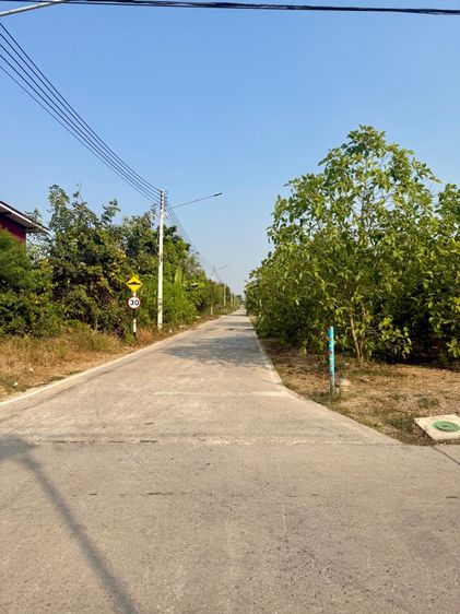 ขายที่ดินปทุมธานี 356 ตร.ว. ติดถนน โฉนดพร้อมโอน รูปที่ 2