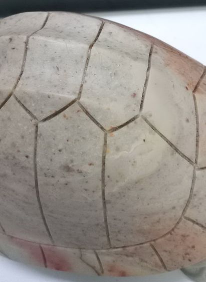 3020-ของหายากครับ เต่าเนื้อหินแกะ หลวงพ่อสนิท วัดลำบัวลอย ตัวใหญ่มาก มีน้ำหนัก ขนาดกว้างยาว 4x7 นิ้ว สูงรวมประมาณ 4 นิ้ว รูปที่ 14