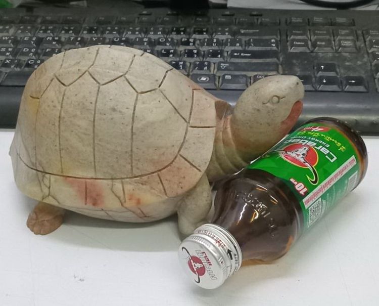 3020-ของหายากครับ เต่าเนื้อหินแกะ หลวงพ่อสนิท วัดลำบัวลอย ตัวใหญ่มาก มีน้ำหนัก ขนาดกว้างยาว 4x7 นิ้ว สูงรวมประมาณ 4 นิ้ว รูปที่ 8