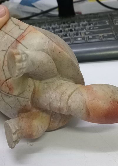 3020-ของหายากครับ เต่าเนื้อหินแกะ หลวงพ่อสนิท วัดลำบัวลอย ตัวใหญ่มาก มีน้ำหนัก ขนาดกว้างยาว 4x7 นิ้ว สูงรวมประมาณ 4 นิ้ว รูปที่ 15