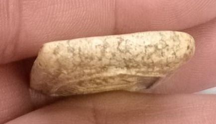 3022-พระสมเด็จฐานเจ็ดชั้น เนื้อผงเก่า รูปที่ 4