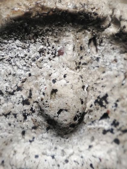 พระสมเด็จเนื้อสวยครับ รูปที่ 3