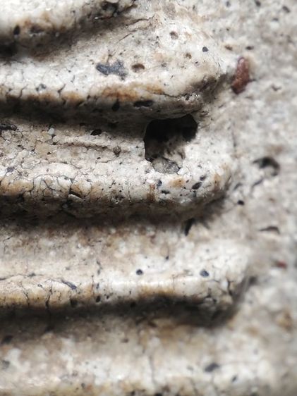 พระสมเด็จเนื้อสวยครับ รูปที่ 11