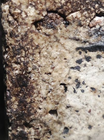 พระสมเด็จเนื้อสวยครับ รูปที่ 14