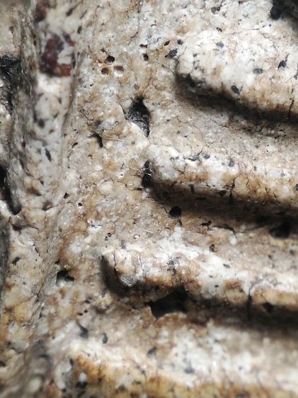 พระสมเด็จเนื้อสวยครับ รูปที่ 12