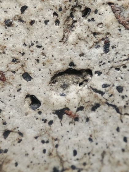 พระสมเด็จเนื้อสวยครับ รูปที่ 15