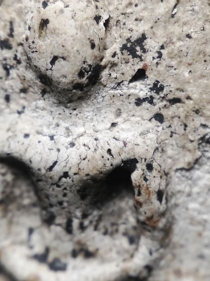 พระสมเด็จเนื้อสวยครับ รูปที่ 7