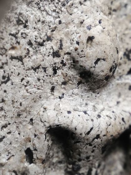 พระสมเด็จเนื้อสวยครับ รูปที่ 6