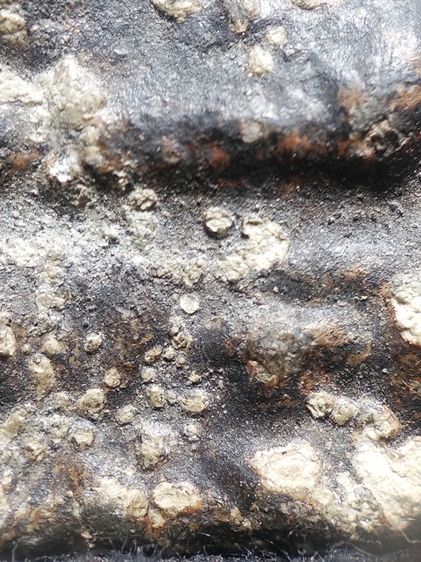 พระเนื้อตะกั่วสนิมแดงครับไม่ทราบวัด รูปที่ 10