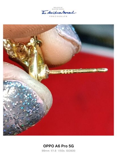 ต่สงหูเงิน รูปที่ 5