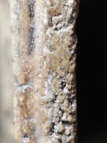 พระสมเด็จเนื้องามๆครับ รูปที่ 14