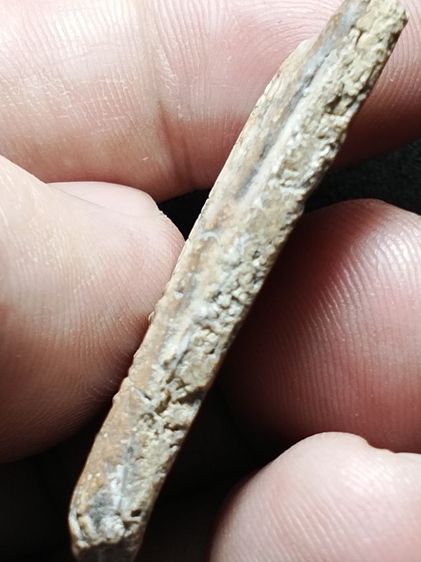 พระสมเด็จเนื้องามๆครับ รูปที่ 11