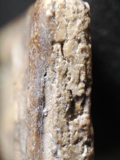 พระสมเด็จเนื้องามๆครับ รูปที่ 13