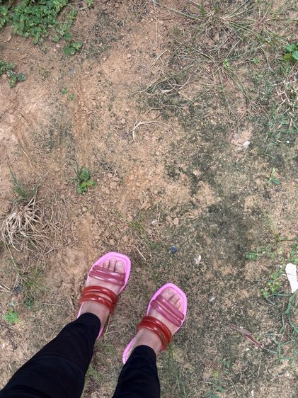 Melissa  รูปที่ 2