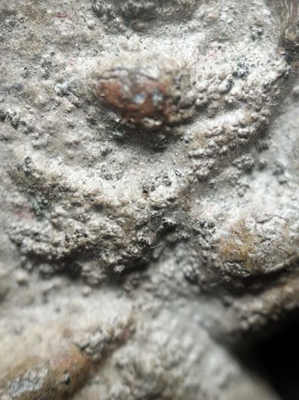 พระปรกโพธิ์เชียงแสนครับ รูปที่ 13