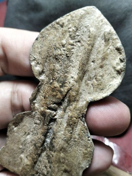 พระปรกโพธิ์เชียงแสนครับ รูปที่ 8