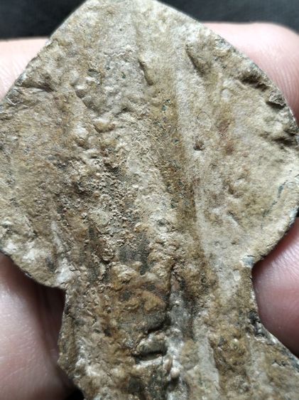 พระปรกโพธิ์เชียงแสนครับ รูปที่ 14