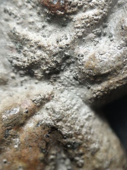 พระปรกโพธิ์เชียงแสนครับ รูปที่ 15