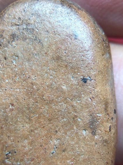 พระกำแพงซุ้มกอ รูปที่ 8