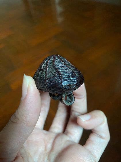 เบี้ยแก้หลวงปู่บุญวัดกลางบางแก้ว รูปที่ 5