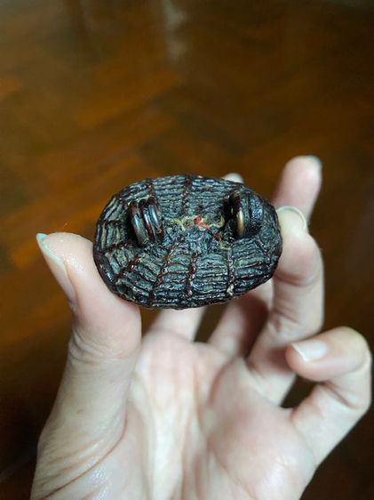 เบี้ยแก้หลวงปู่บุญวัดกลางบางแก้ว รูปที่ 4