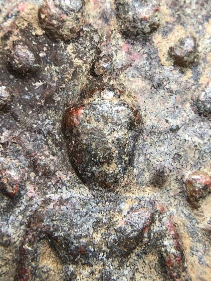 พระปรกโพธิ์เชียงแสนสนิมแดง รูปที่ 6