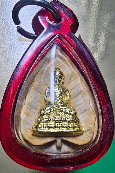 สมเด็จตรัสรู้ เนื้อผงพุทธคุณ วัดทุ่งเสรี ปี 2519 หลวงปู่แหวน รูปที่ 3